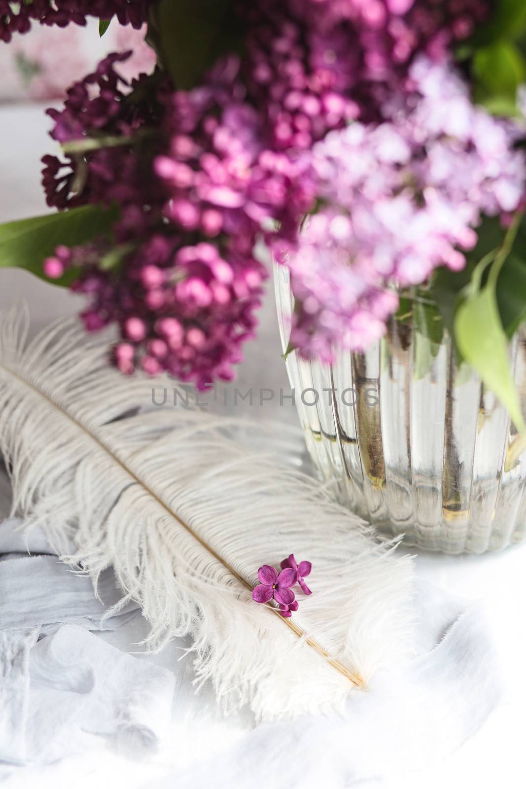 Five-pointed lilac blue violet flowers on a white ostrich feather. A lilac luck - flower with five petals among the four-pointed flowers of bright pink lilac (Syringa)