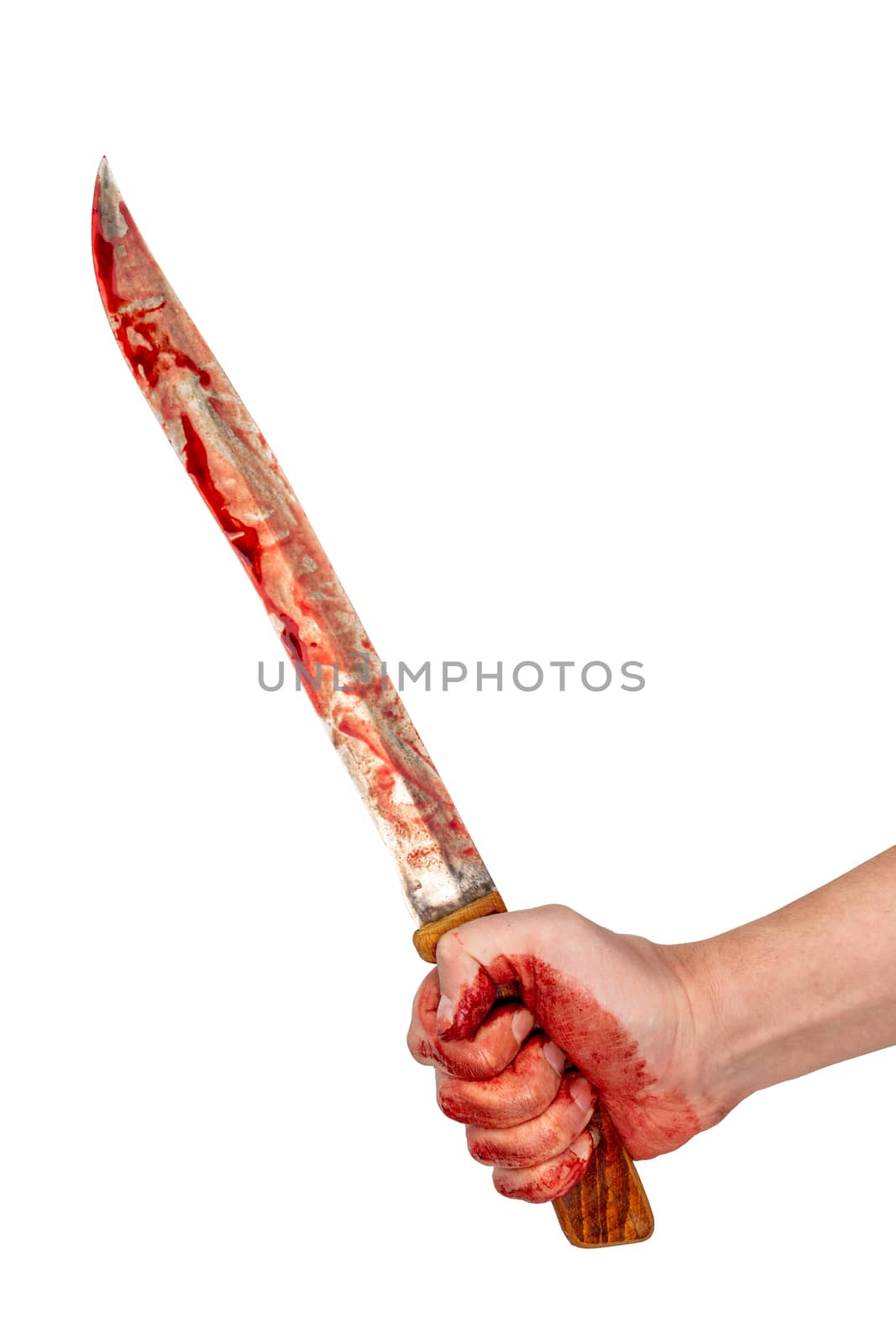 human hand holding old long bloody kitchen knife isolated on white background by z1b