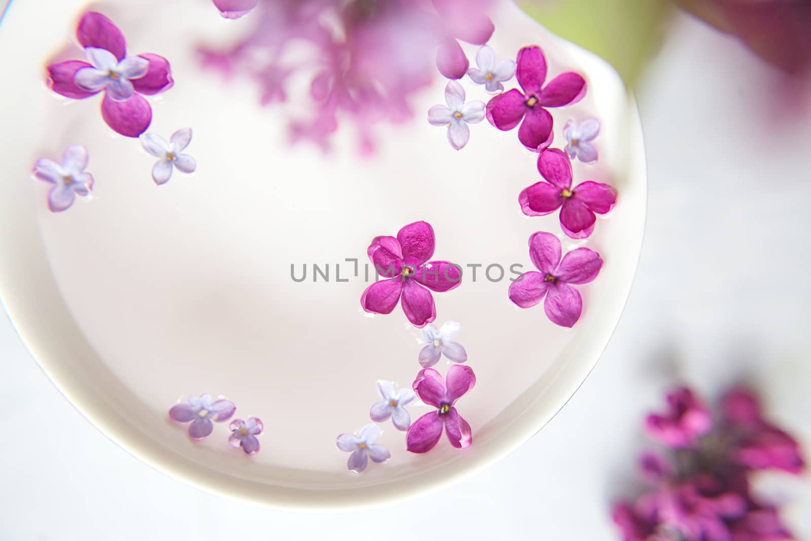 Five-pointed lilac flower among lilac flowers in a cup with water. Spa ritual. Lilac branch with a flower with 5 petals.