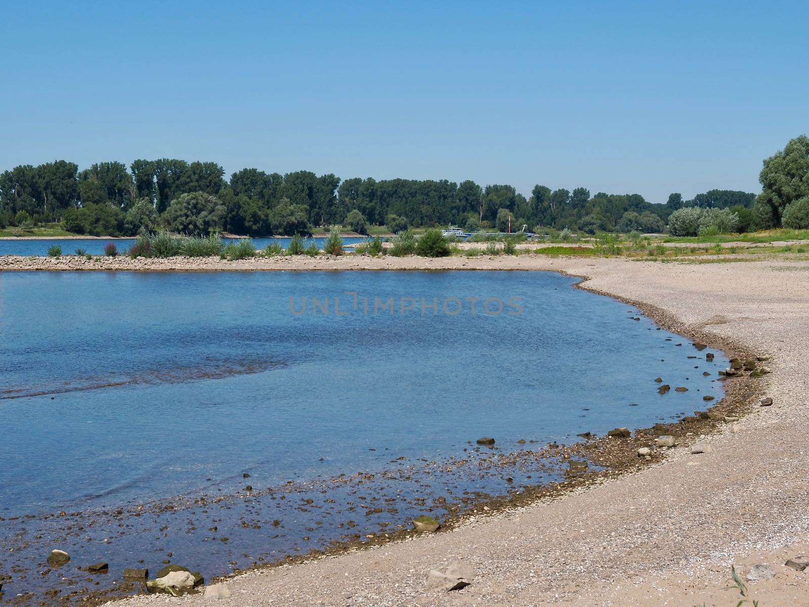 Beautiful nature at Rhine river in Germany