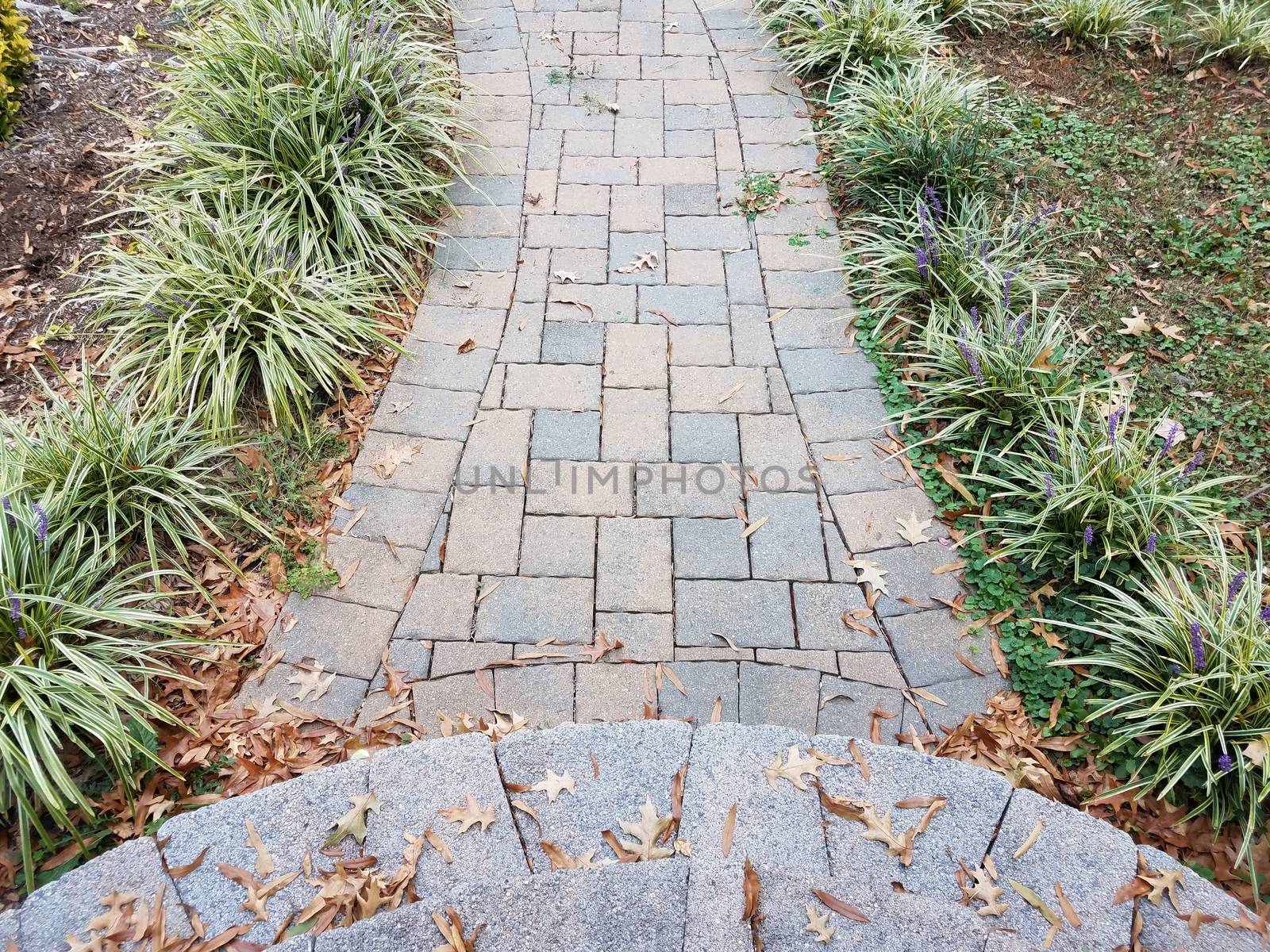 cement steps and brick path with leaves and grasses by stockphotofan1