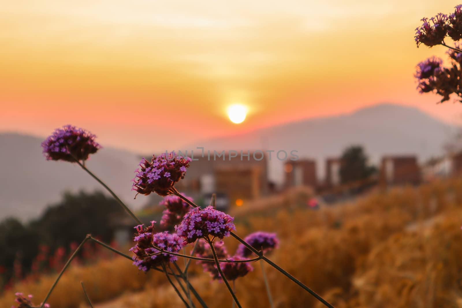 The mountain sunset in a thai village near mountains in Chiang Mai, Thailand. The mountain scenery view