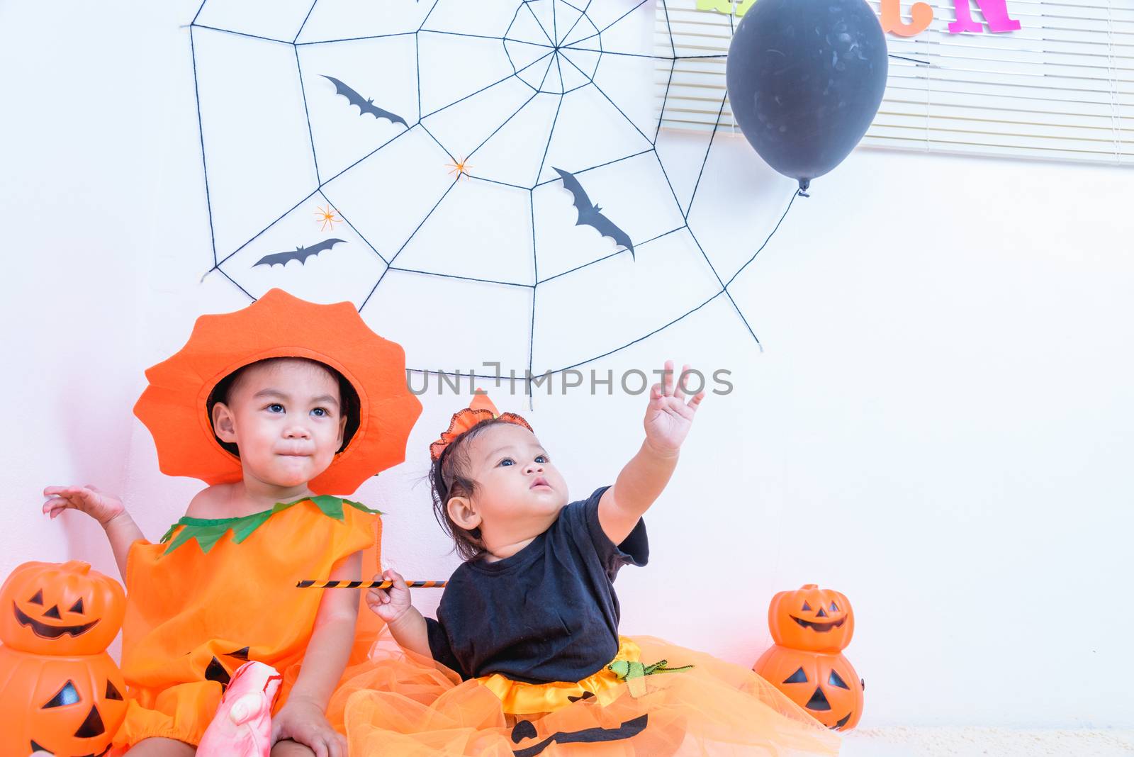 Funny happy little cute brethren baby girl and kid boy in Halloween costume with orange pumpkin Jack with Cobweb and black balloon in the home on white wall background, Happy Halloween day concept