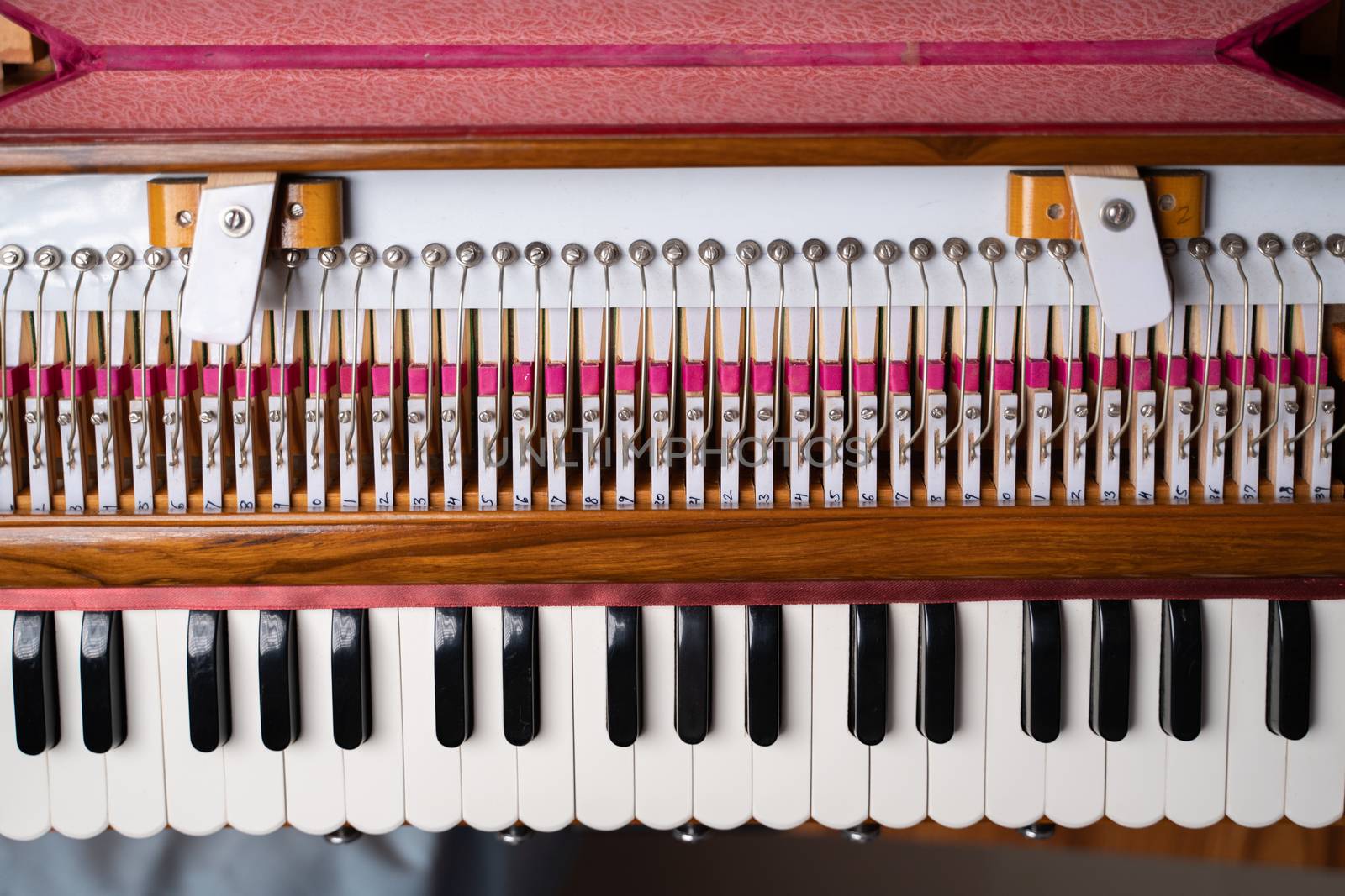 Top view of Harmonium classical Indian musical instrument