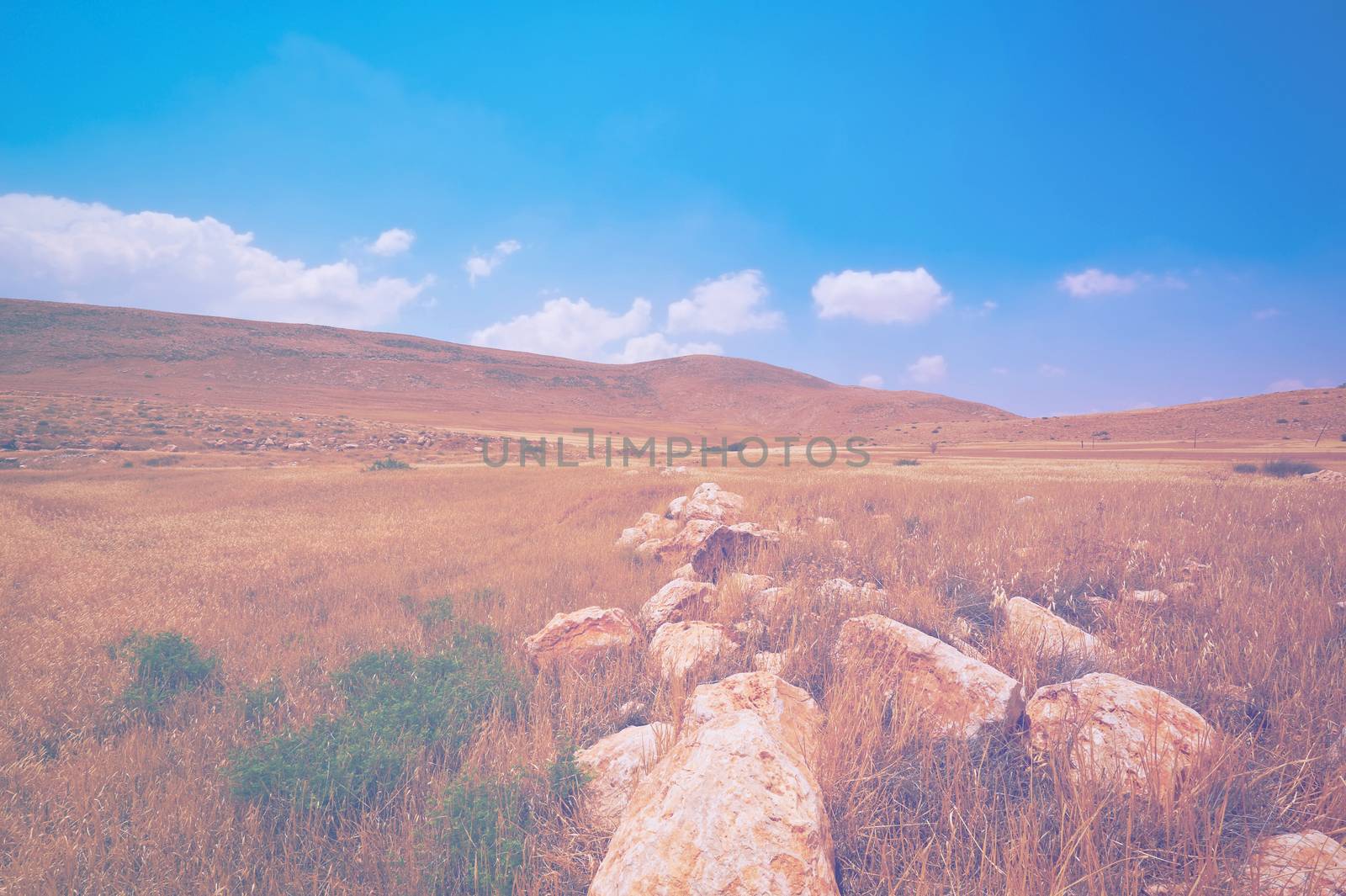 Deserted plain in Israel in faded color effect. Huge boulders in the Middle Eastern deserts.