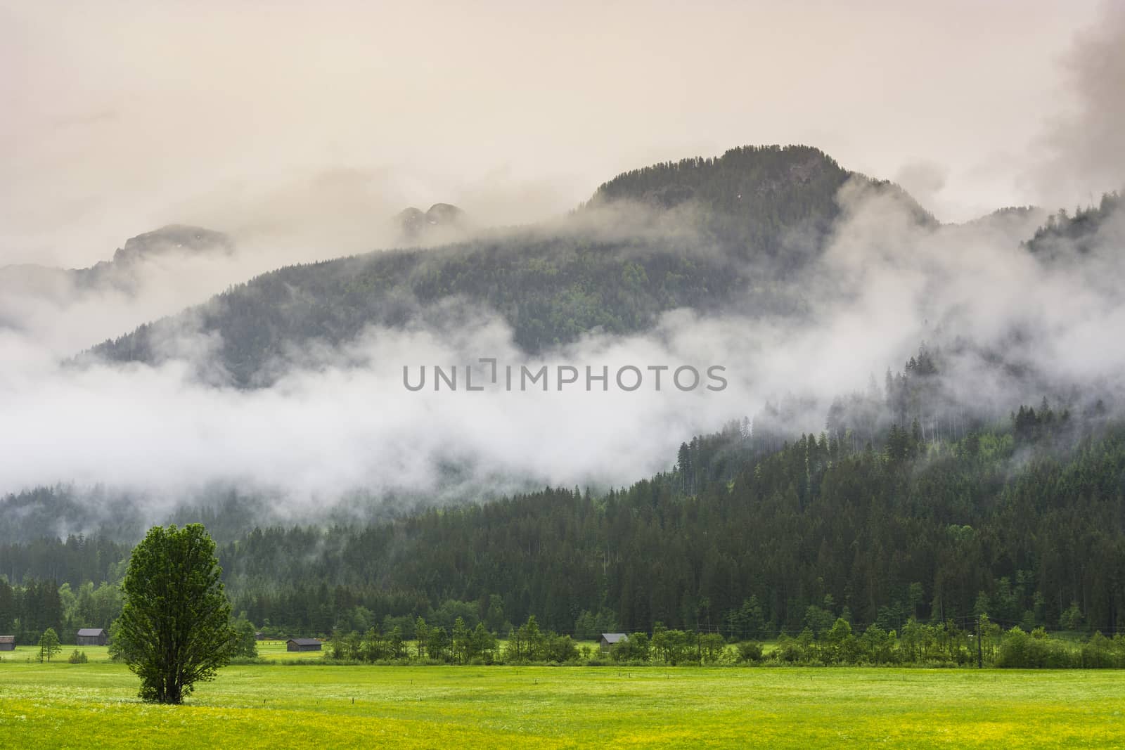 Morning mist over the Austrian landscape with forests, fields, pastures, meadows and villages.  Rain and clouds in rural Austria