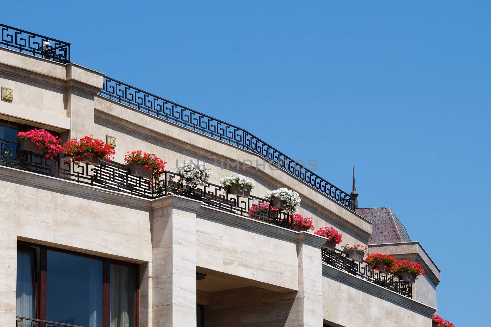 flowers in pots on the open terrace of the upper floor by Annado