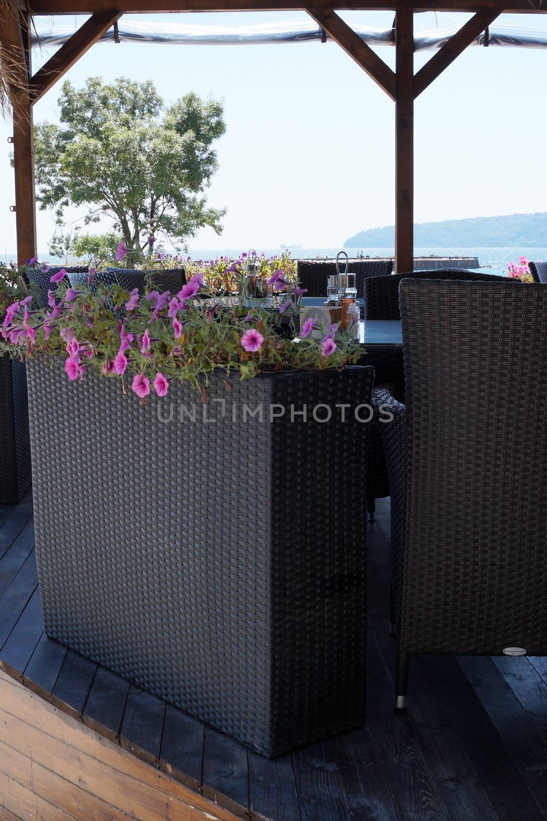 large wicker flowerpot with ampel flowers in a summer seaside cafe