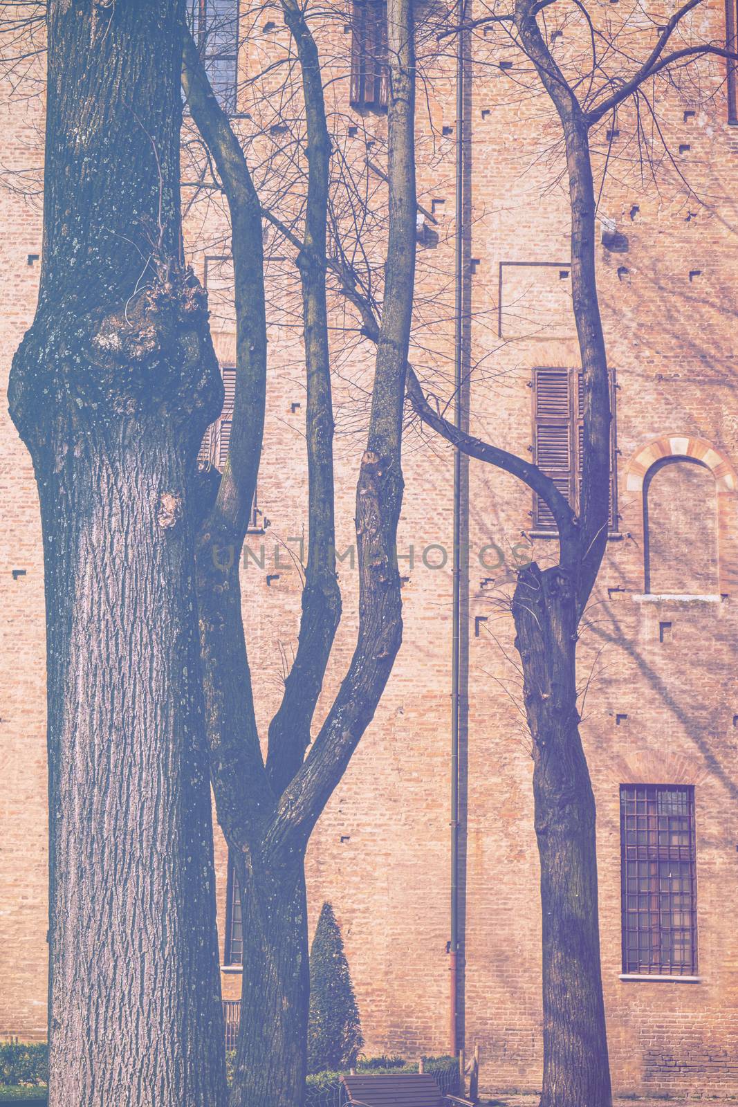 Whimsical shade of trees in the courtyard of the Duke of Gonzaga's palace in Mantua in faded color effect. 