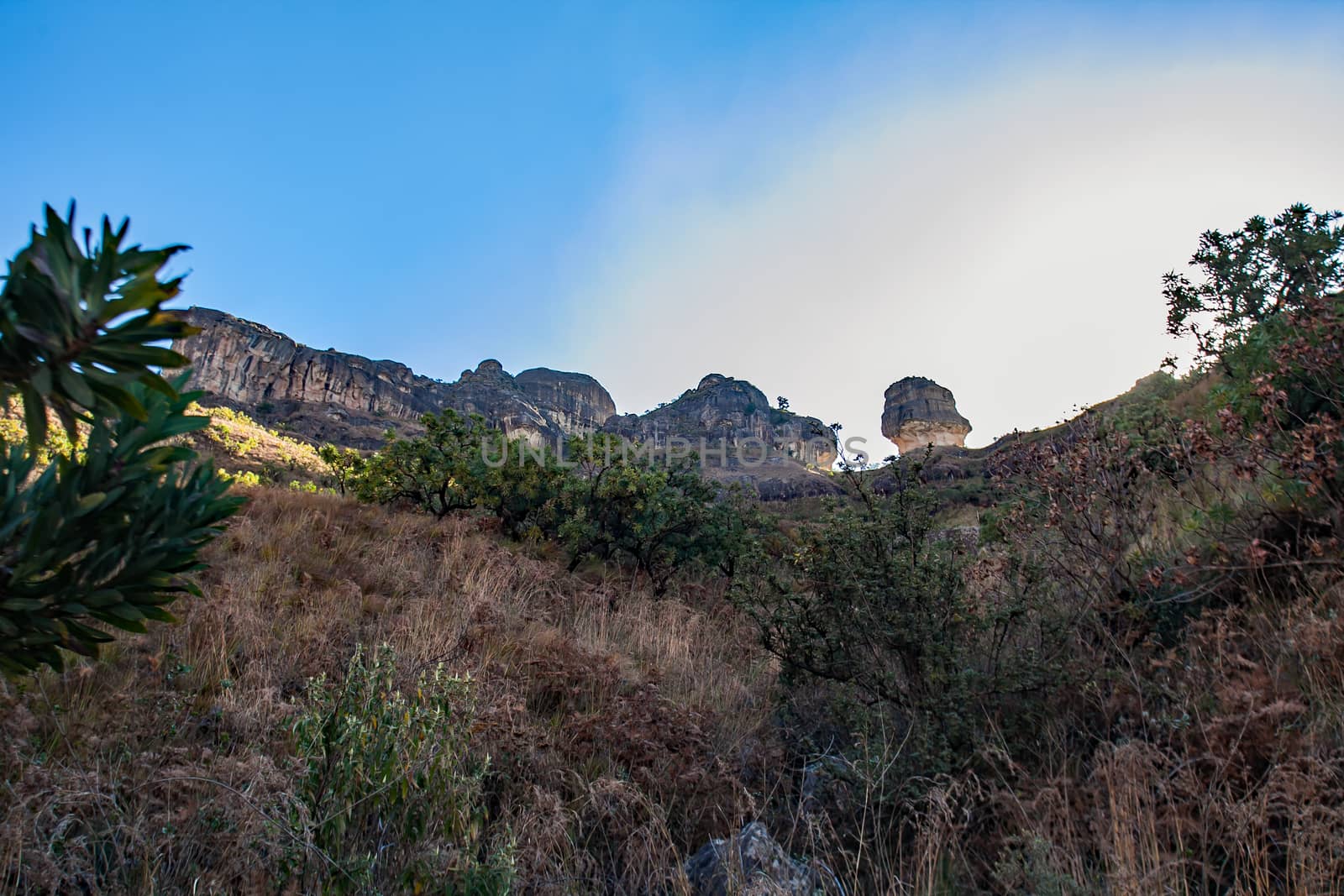 A Drakensberg Mountain Scene.  The formation The Policemans Helmet seen from the Tugela River Valley. Royal Natal National Park. KwaZulu Natal. South Africa