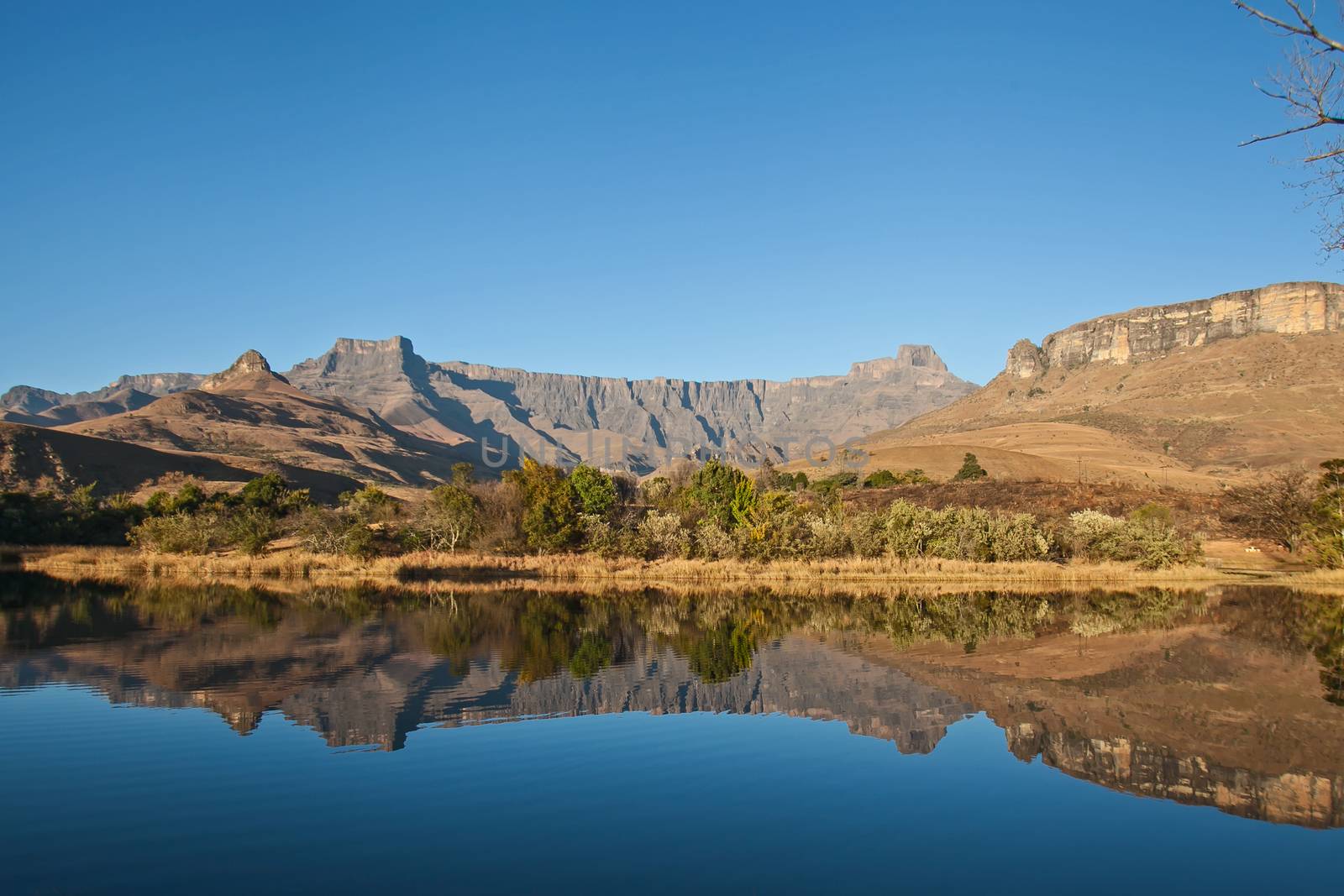 Reflections of the Amphiteatre Formation in a calm Drakensberg lake in Royal Natal National Park. KwaZulu-Natal. South Africa