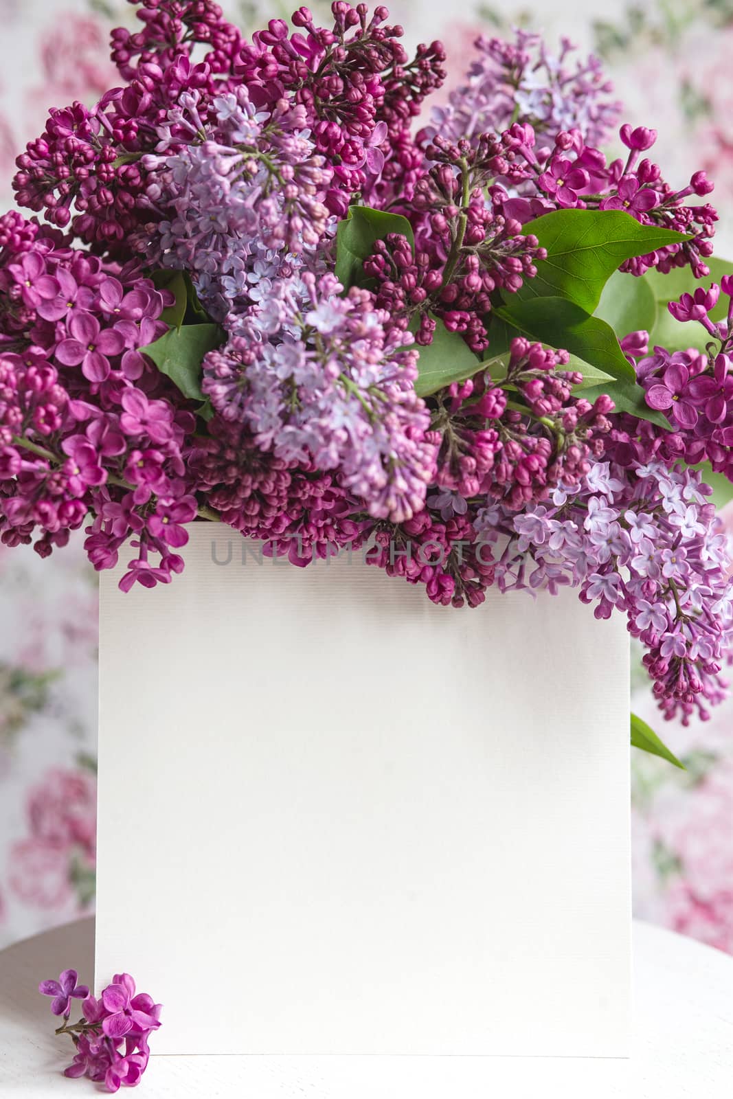 White sheet in blooming purple violet lilac flowers on a white stand on a floral background. Greeting card, place for text, mock up