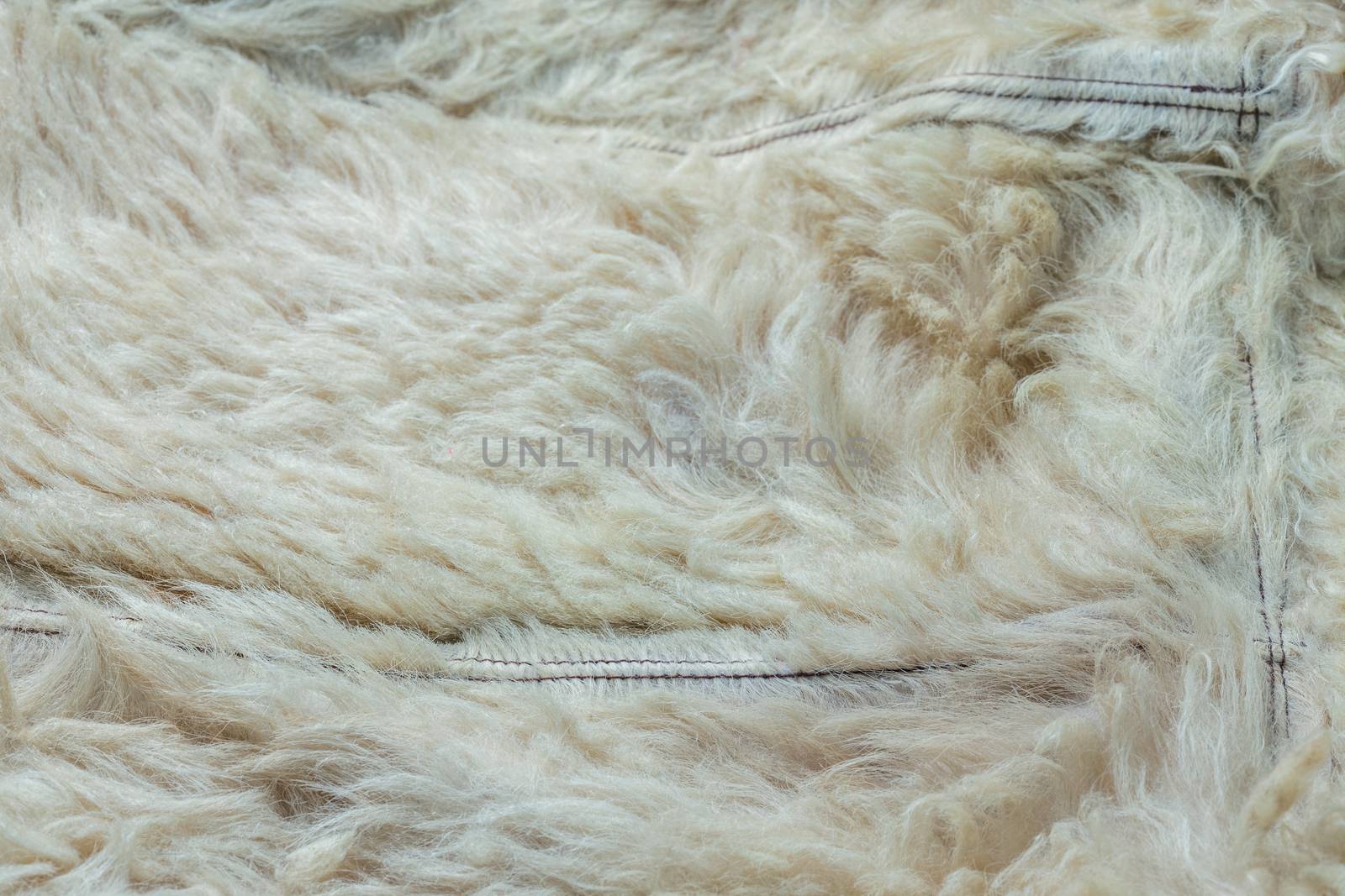 Old white sheep fur lining closeup background with selective focus by z1b