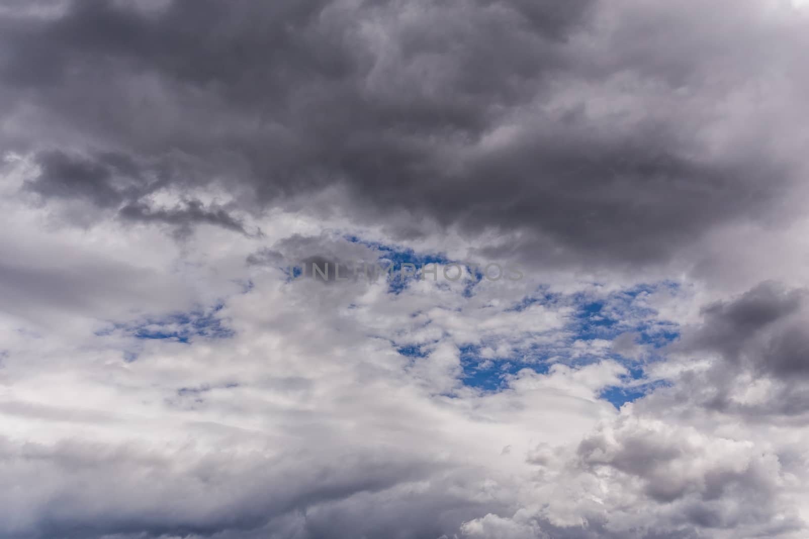 gray incoming near storm clouds daylight backdrop.