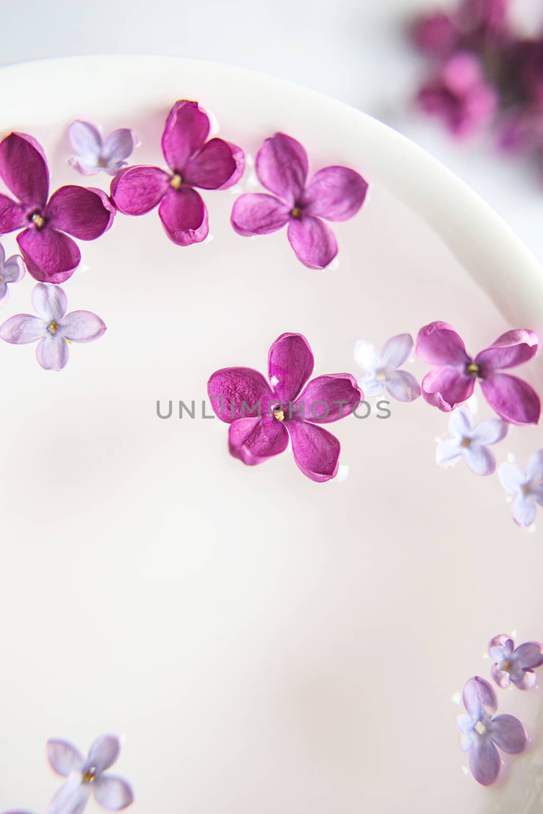 Five-pointed lilac flower among lilac flowers in a cup with water. Spa ritual. Lilac branch with a flower with 5 petals.