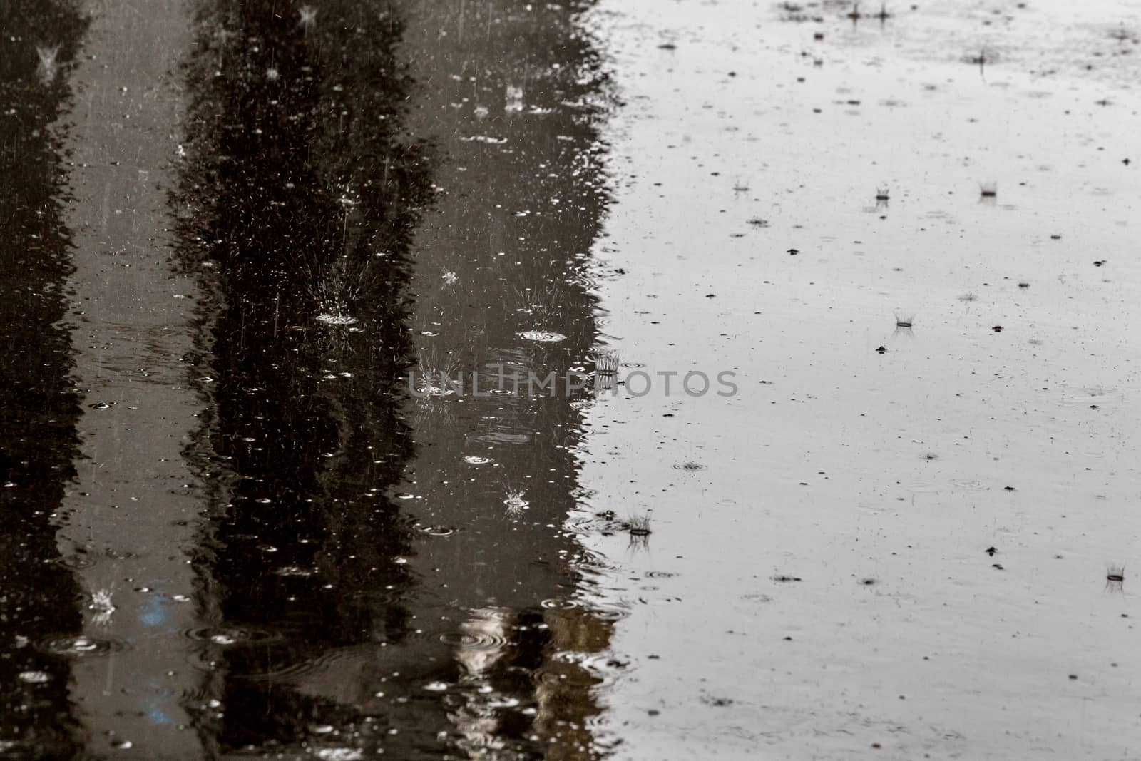 Raindrops on shiny wet flat asphalt background with selective focus. by z1b