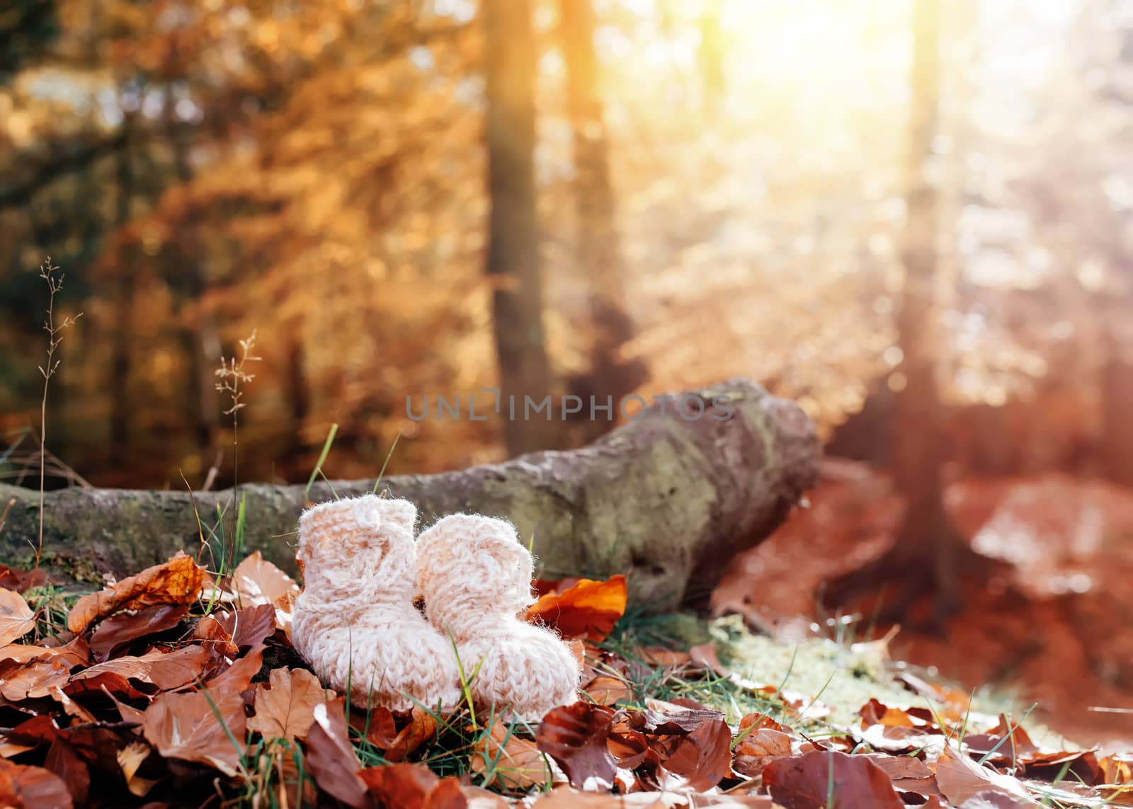 Knitted booties on a pile of leaves in the autumn forest