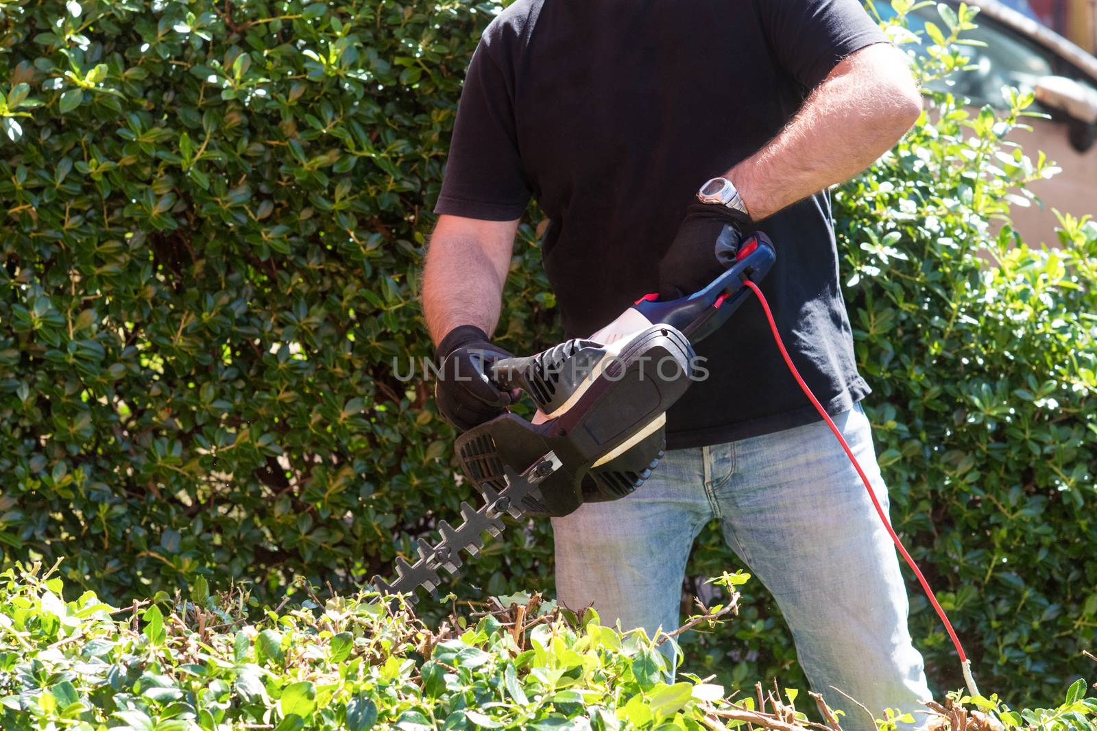 man cutting and trimming bushes and hedges with Hedge Trimmer by Iryna_Melnyk