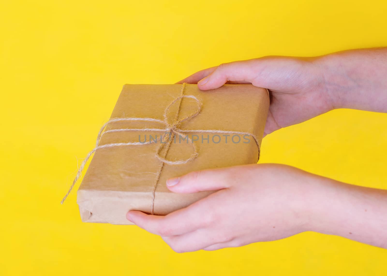 hand holding a gift box by Iryna_Melnyk