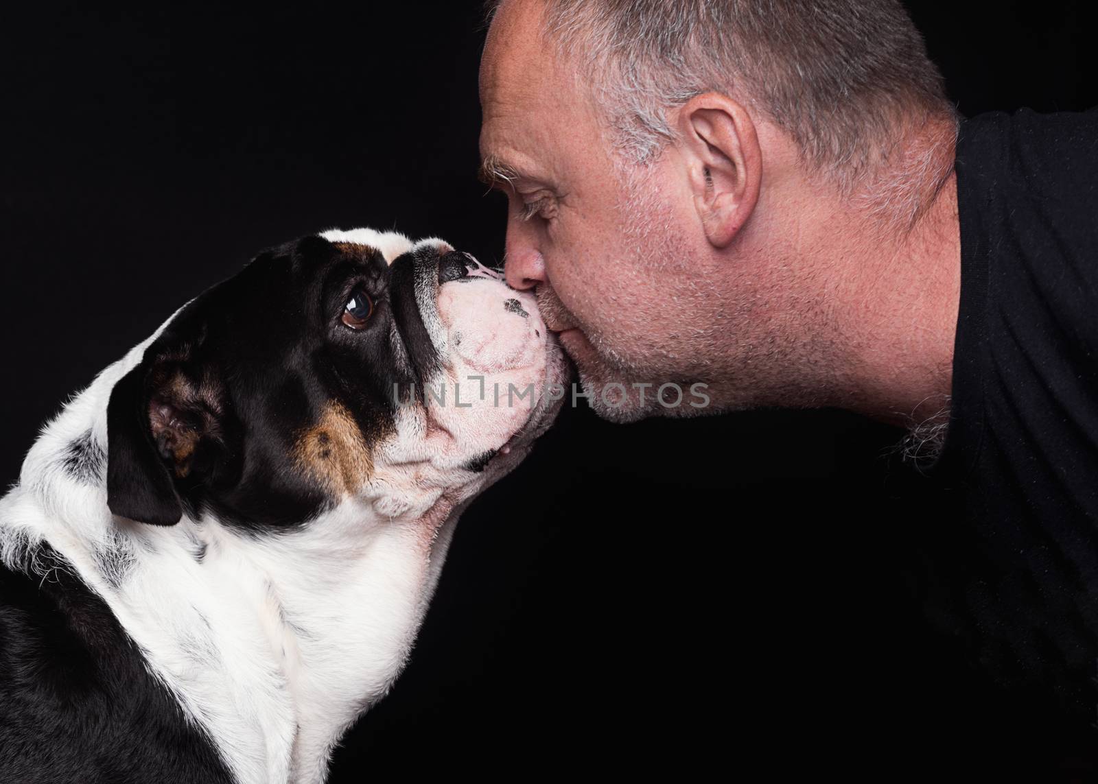 Black and white English Bulldog and man looking each other against black background