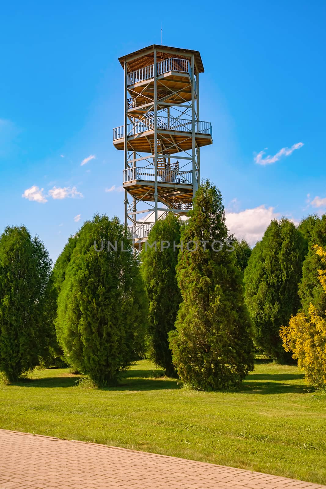 An observation tower in the arboretum