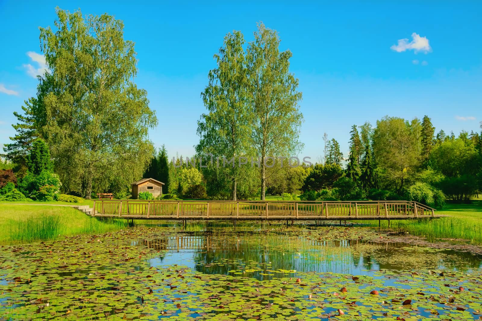 Bridge over the pond by SNR