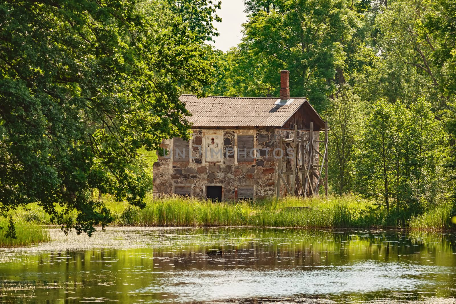 Old water millon the bank of the pond