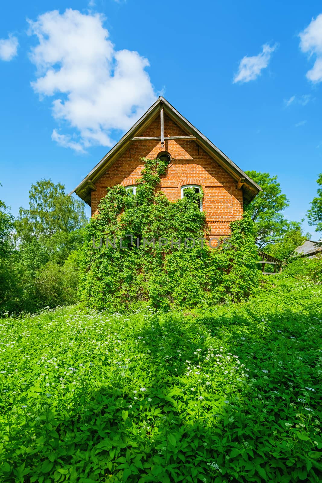 Abandoned old house in the countryside