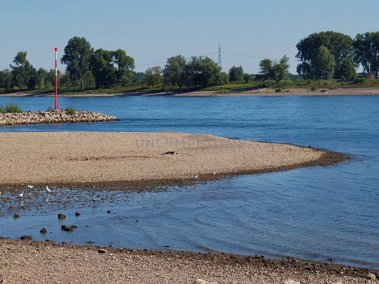 Beautiful nature at Rhine river in Germany