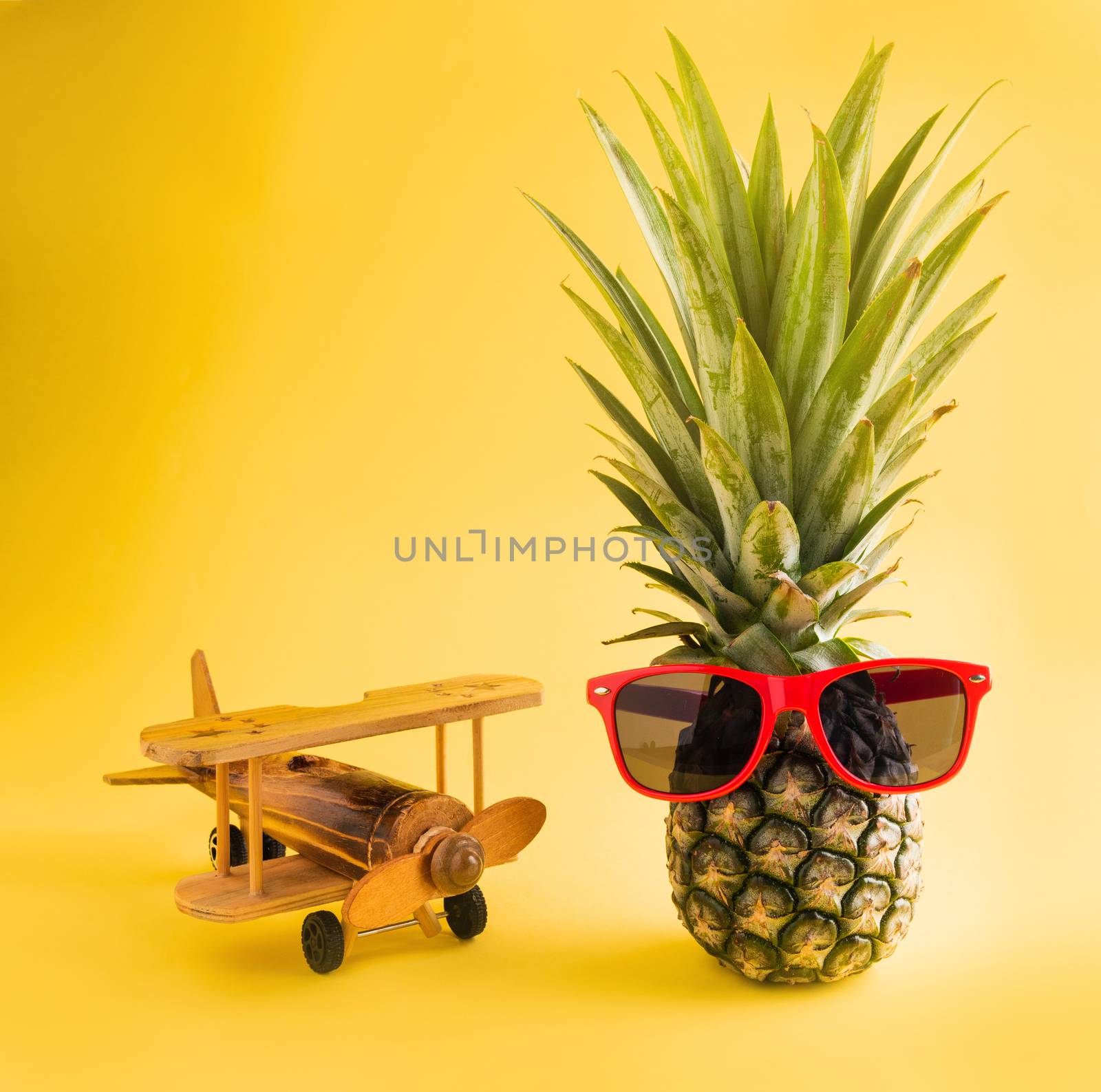 pineapple in sunglasses stands with a model plane by Sorapop