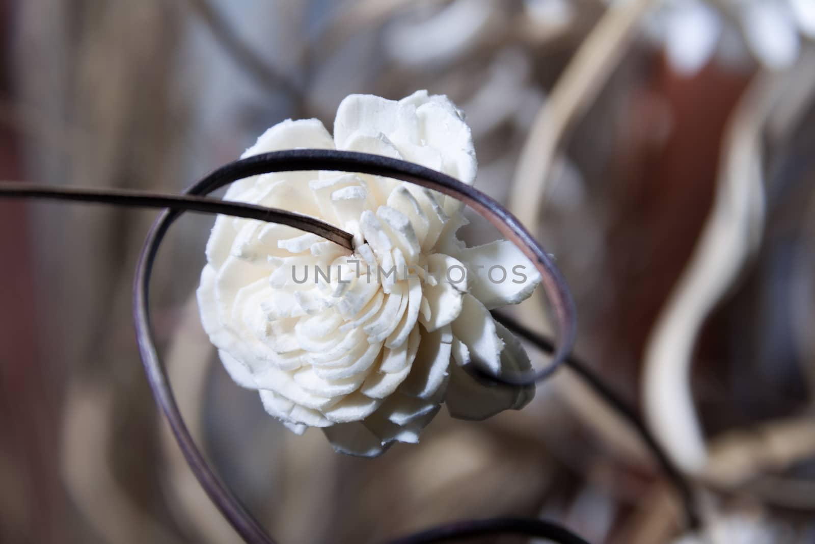 blurred background of dry straw, leaves and artificial flowers by client111