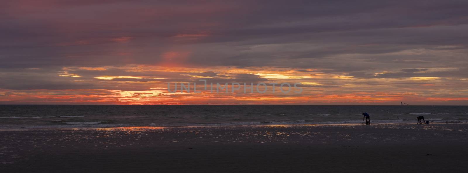 men on normandy beach during sunset look for worms to use as bait for fishing by ahavelaar