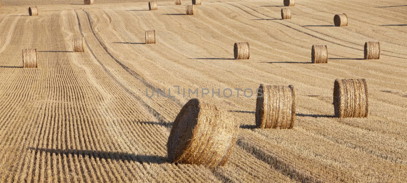 abstract pattern of straw bales in rolling hills of northern france under blue sky on sunny summer evening