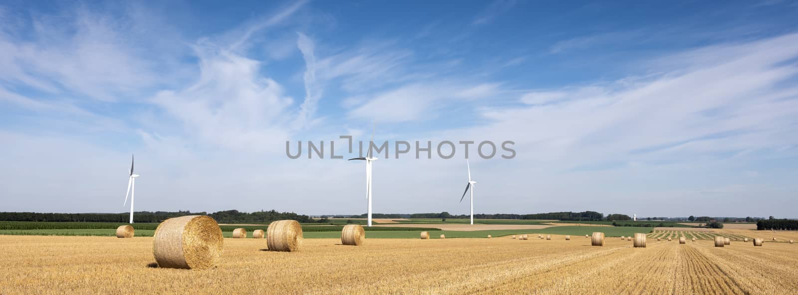 fields and wind turbine in french part nord pas de calais under blue sky in summer