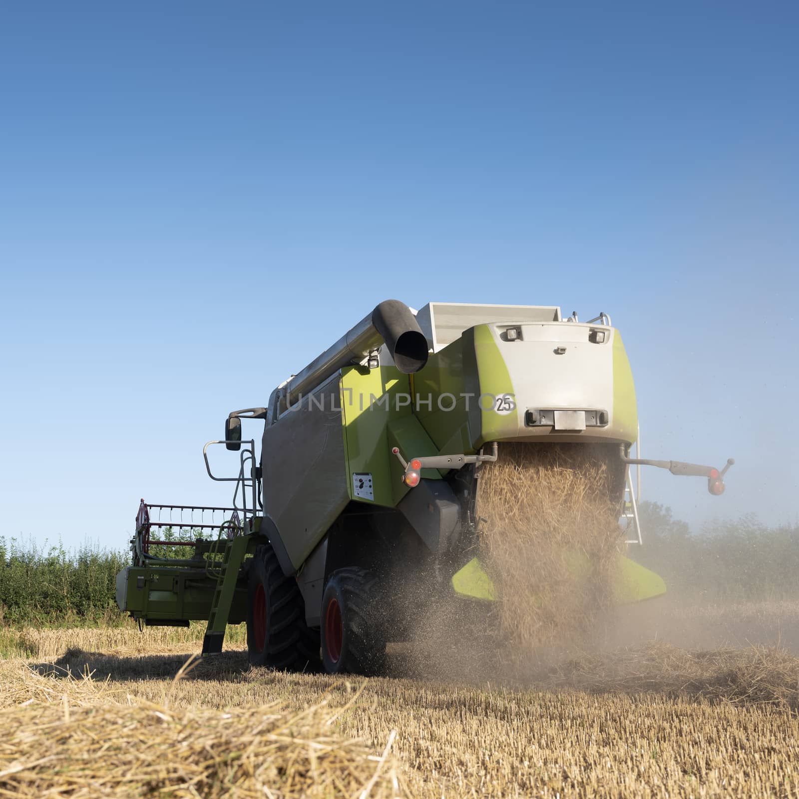 combine working on grain field under blue sky during harvest in the north of france