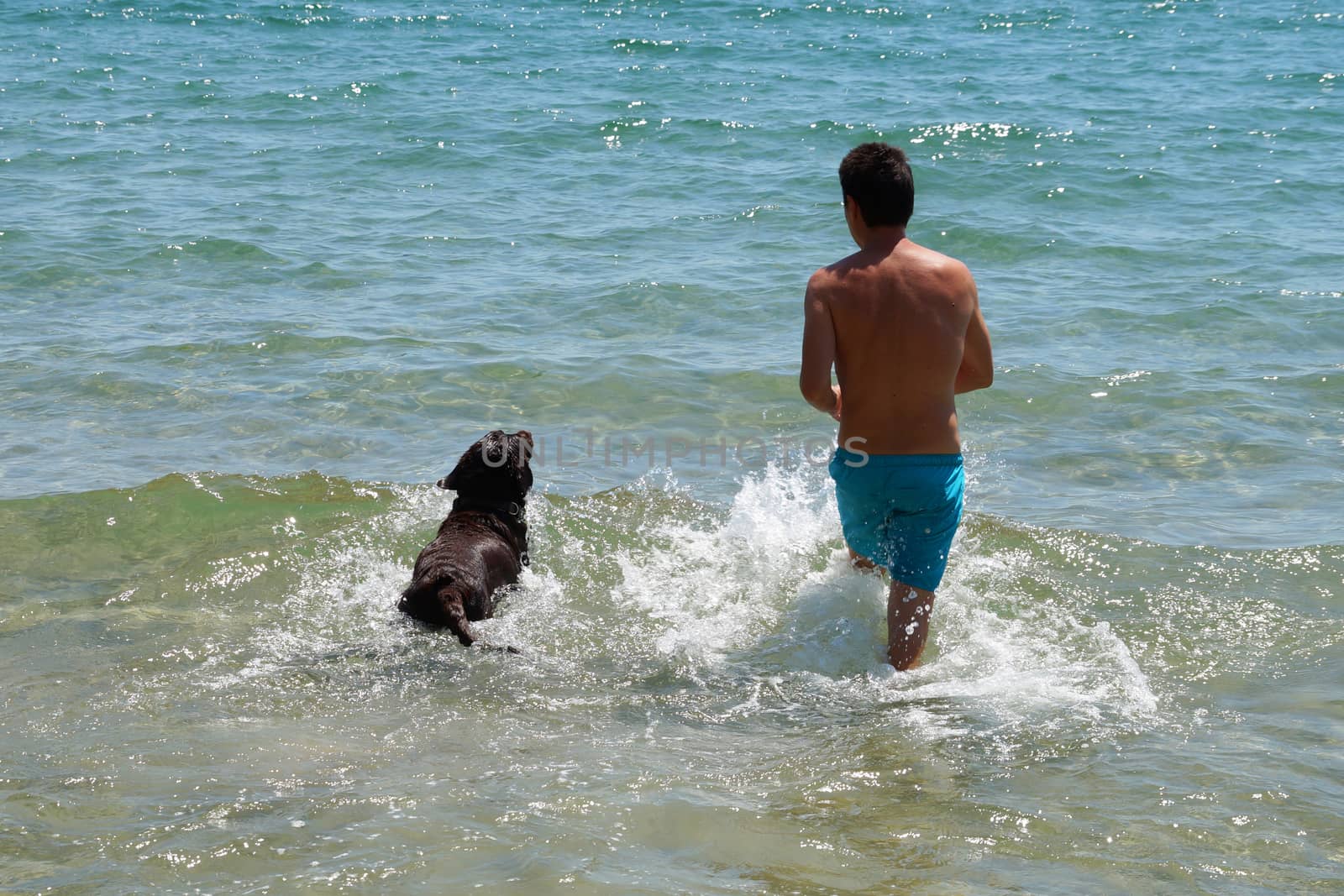 a man with his dog goes to the sea by Annado