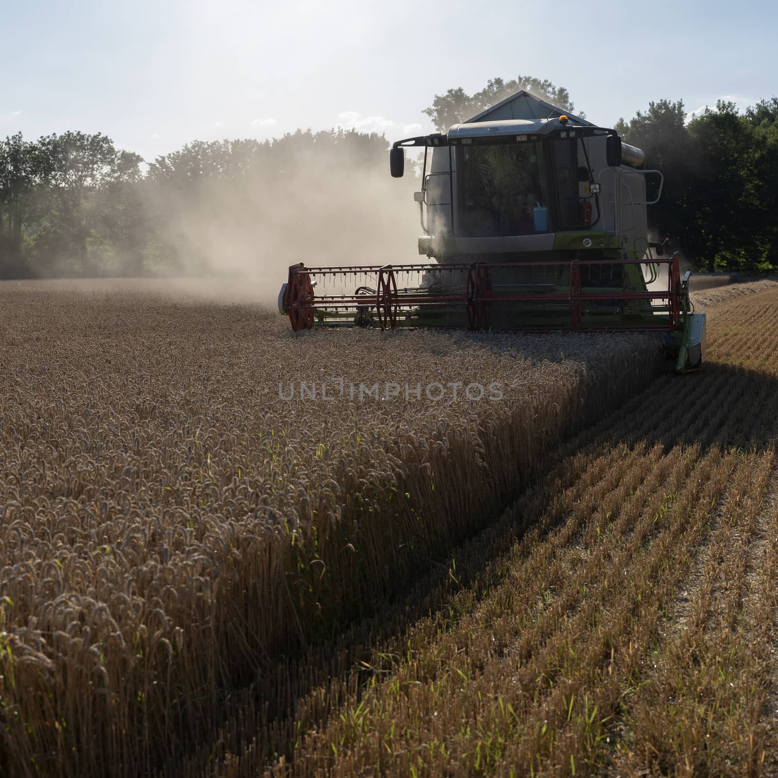 combine working on grain field during harvest in the north of france by ahavelaar