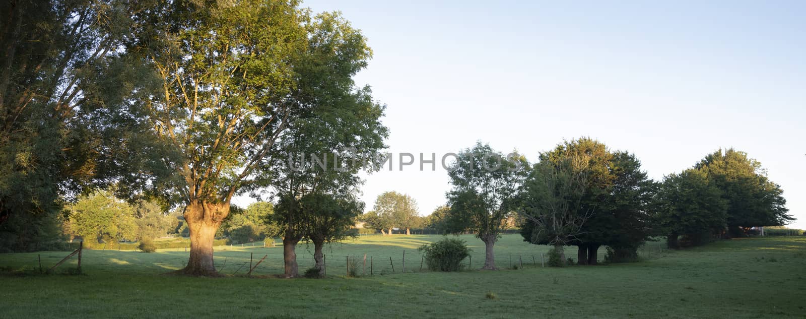 rural countryside landscape with trees in the nort of france near valenciennes by ahavelaar