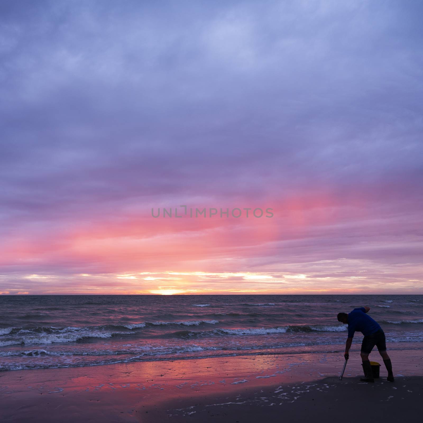 man on normandy beach during sunset looks for worms to use as bait for fishing by ahavelaar