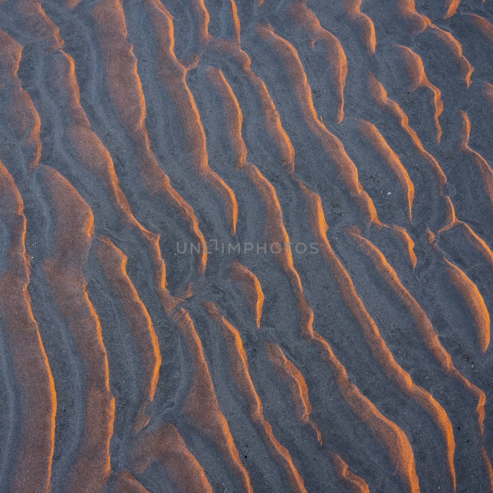 abstract pattern of sand ripples on beach in warm light of setting sun