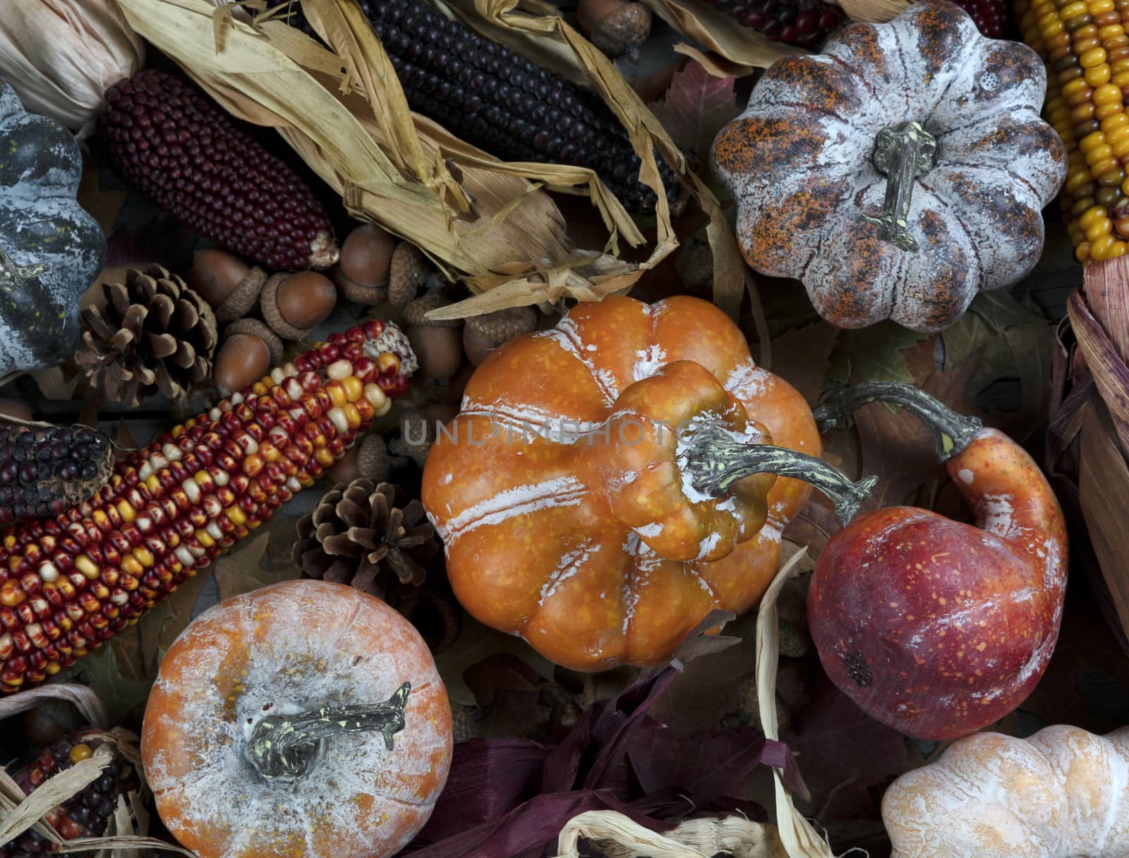 Seasonal fall decorations consisting of pumpkins, gourds, and co by tab1962