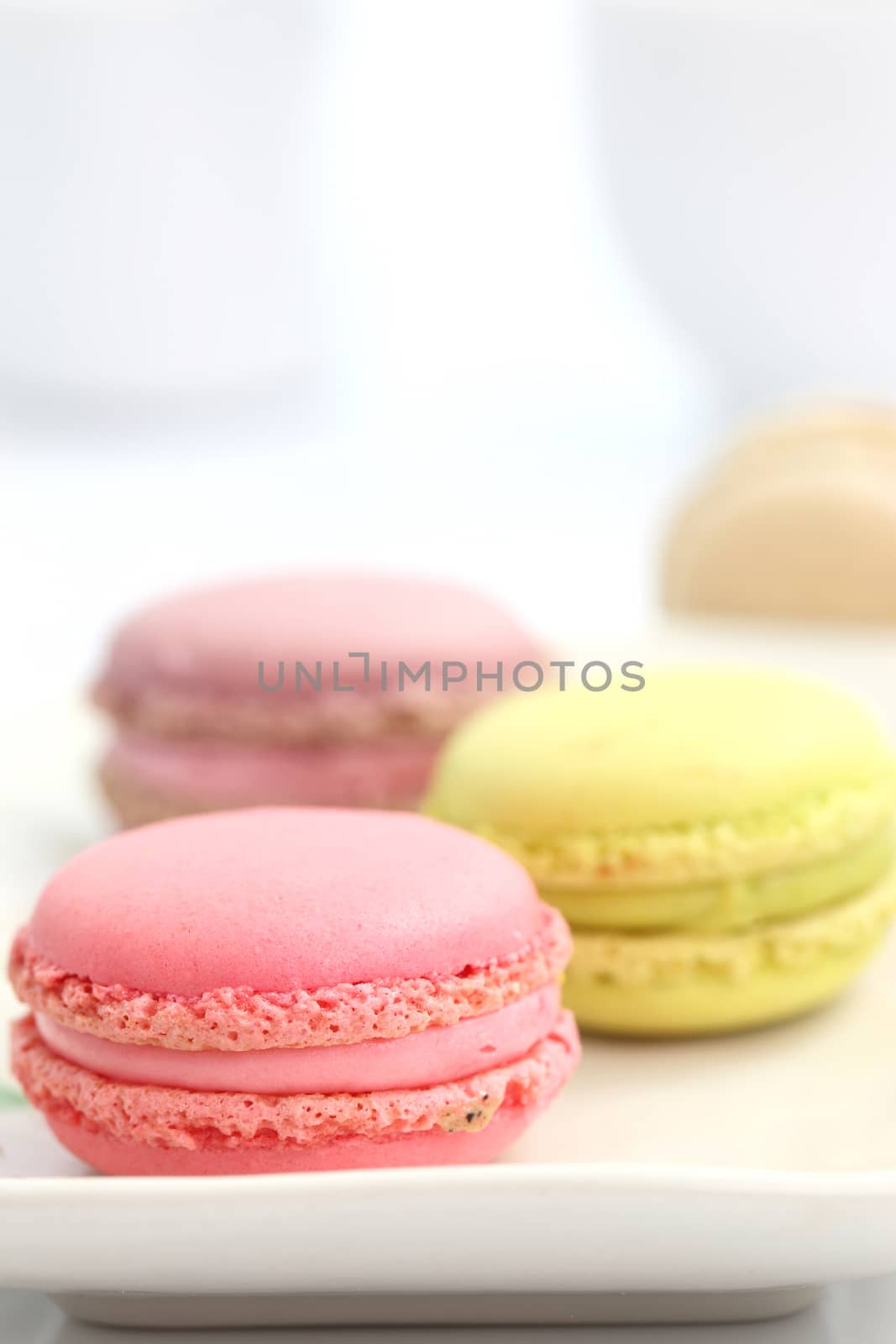 Colorful Macaron in close up isolated on white background