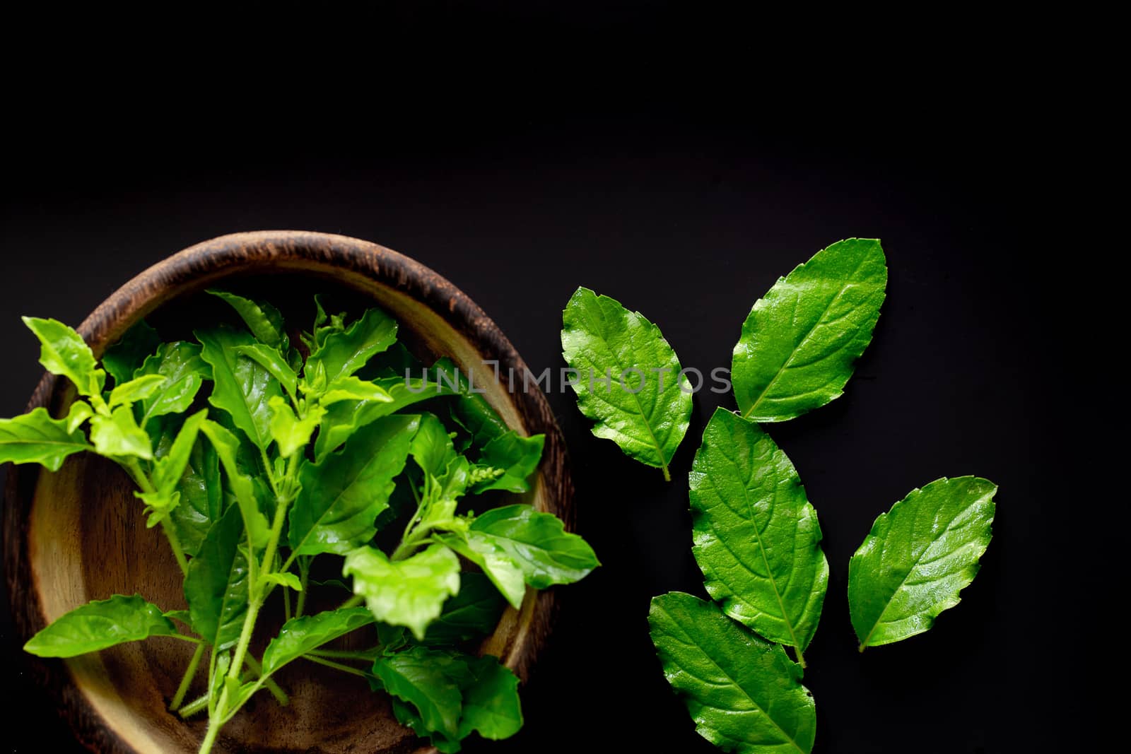 Fresh basil leaves on a black background and copy space.