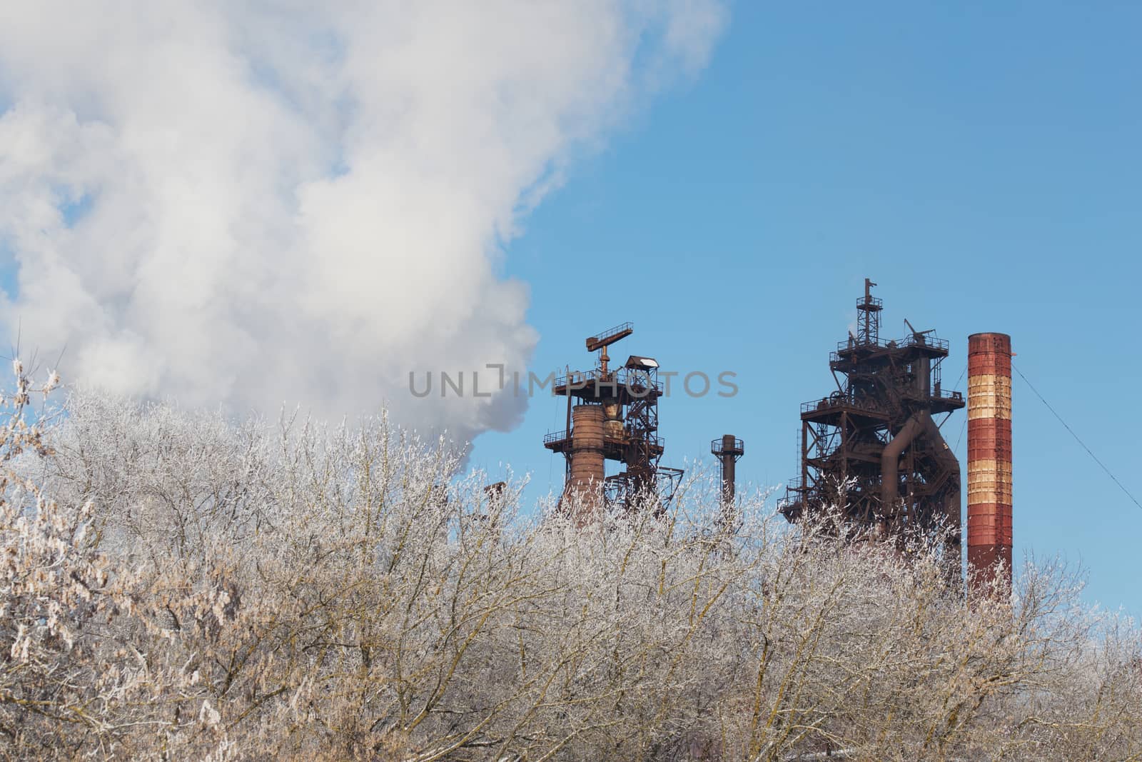 metallurgical plant with cloud of pollution exhaust with frozen winter bush in foreground at daylight.