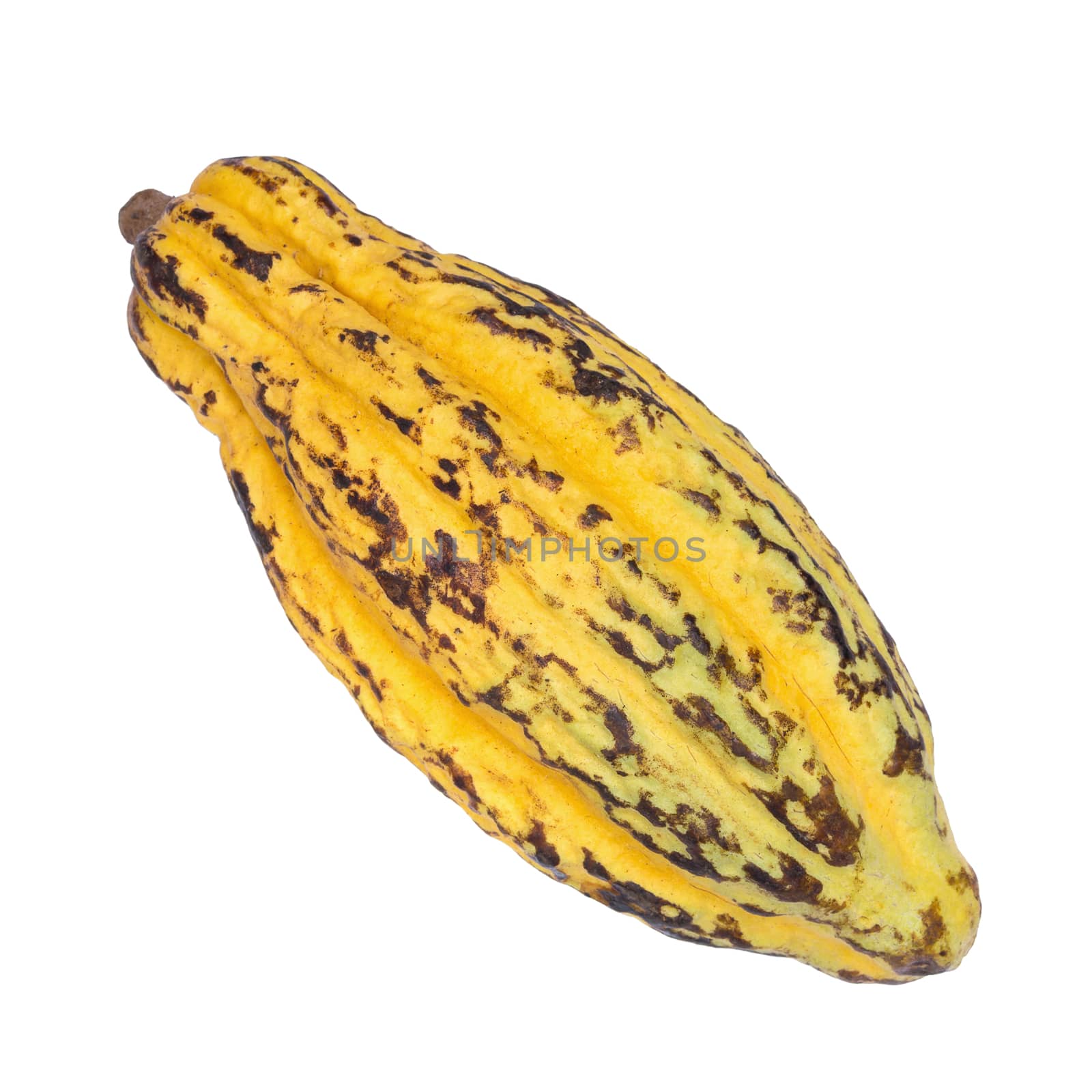 Cacao fruit, raw cacao beans, Cocoa pod isolated on white background.