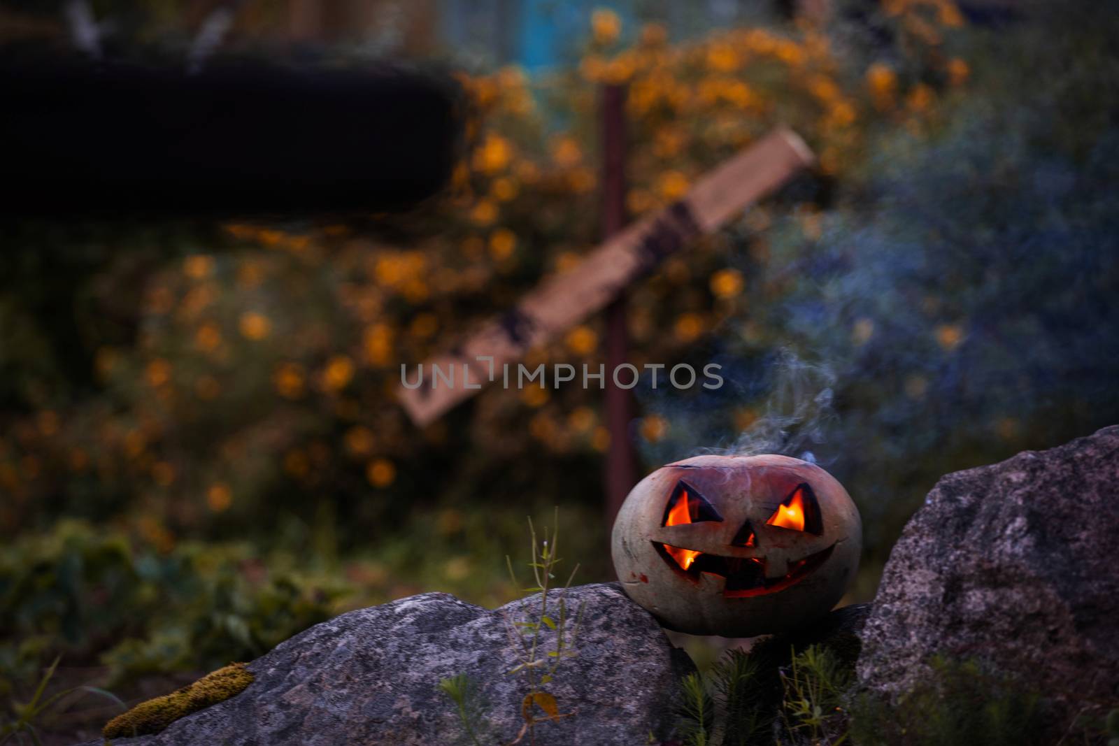 Close up of carved Halloween pumpkin in garden, copy space for text