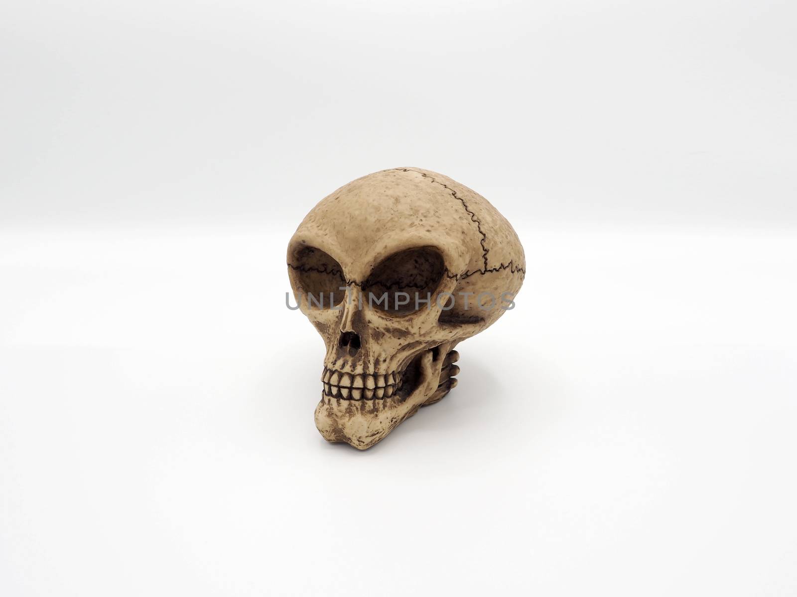 Alien skull toy model which made from plastic racin by hand made and white background studio shot and isolated.