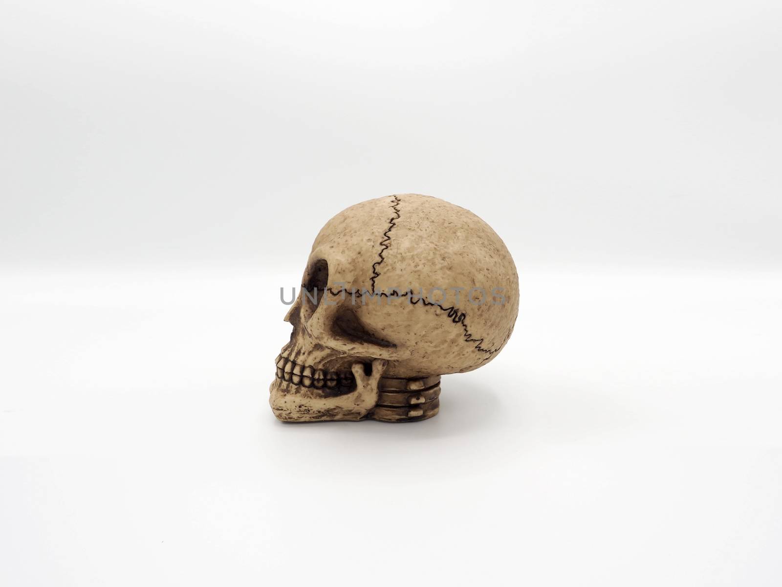 Alien skull toy model which made from plastic racin by hand made and white background studio shot and isolated.