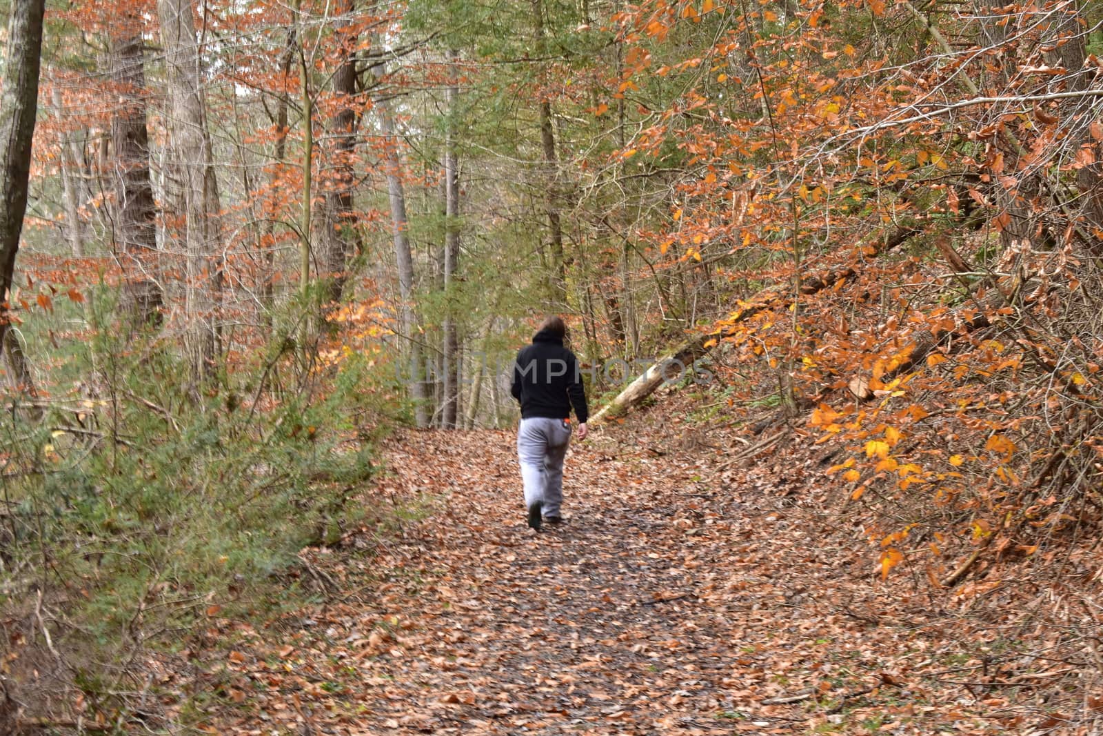 A Man in a Black Hoodie Walking Through an Autumn Forest Covered in Leaves