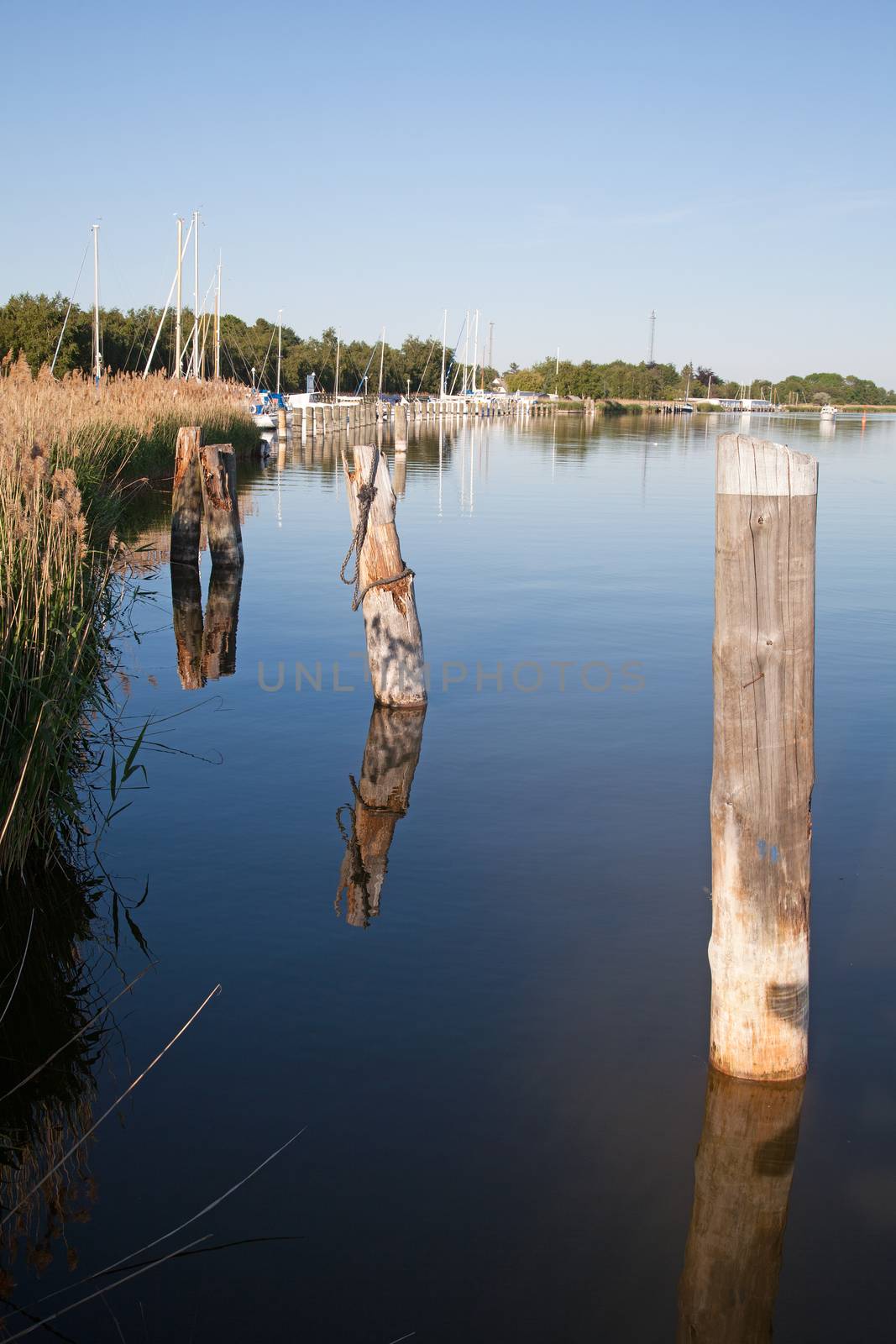 Wooden bollards or poles near a pier and marina with sailing boats